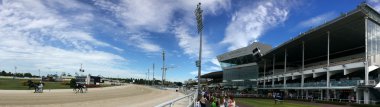 Alexandra Park Raceway Auckland Yeni Zelanda koşum yarış