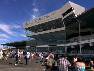Alexandra Park Raceway Auckland Yeni Zelanda