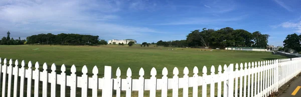 Auckland Domain - New Zealand — Stock Photo, Image