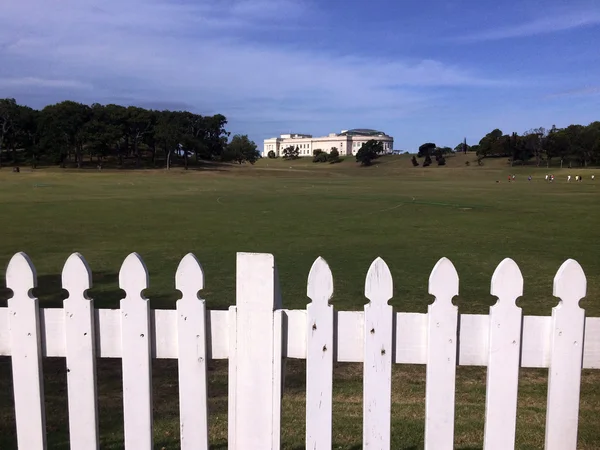 Auckland Domain - Új-Zéland — Stock Fotó