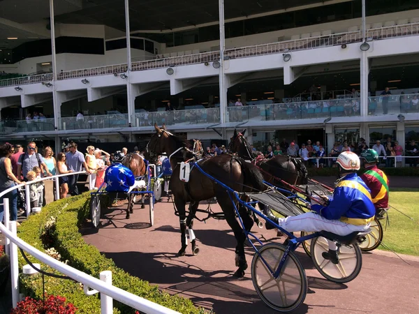 Carreras de arneses en Alexandra Park Raceway en Auckland Nueva Zelanda — Foto de Stock