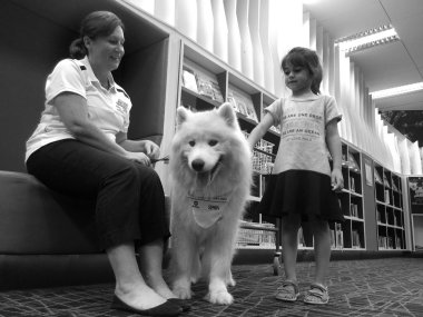 SPCA köpek güvenlik eğitimi
