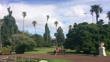 Albert park Auckland Yeni Zelanda