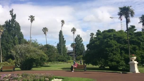 Albert park Auckland Nieuw-Zeeland — Stockvideo