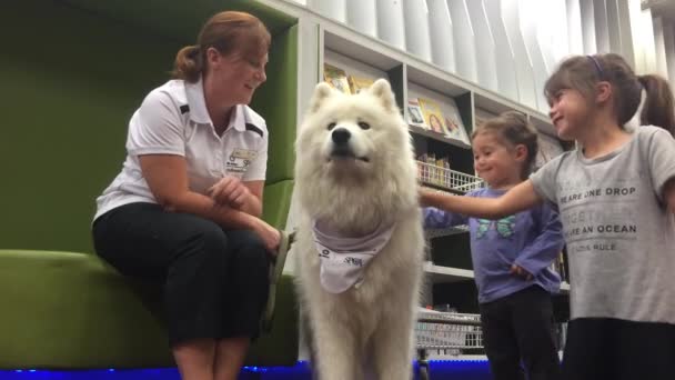 SPCA dog safety training for Children — Stock Video