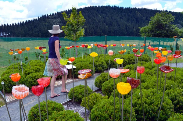 En utomhus glas trädgård nära Taupo, Nya Zeeland. — Stockfoto