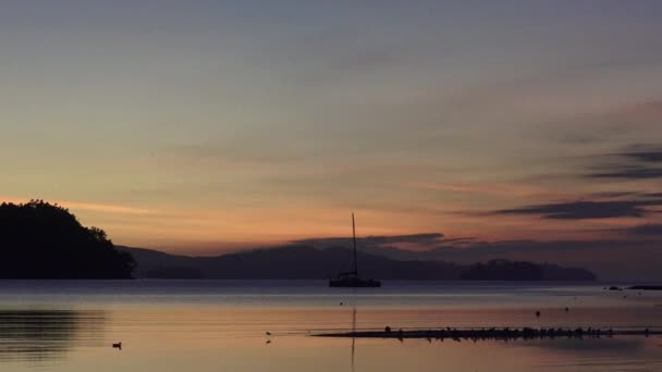 Krajobraz Warkworth Sandspit Beach w sunrise — Wideo stockowe