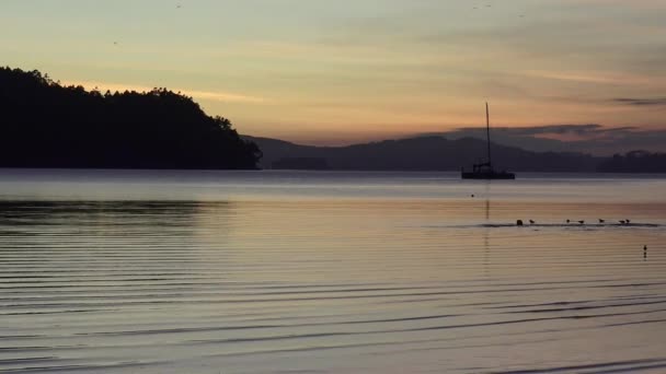 ワークワース サンドスピット ビーチの日の出風景 — ストック動画