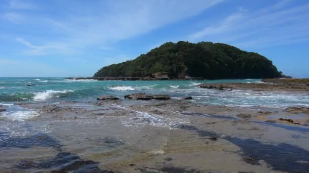 Paisaje de la isla de la cabra Leigh Nueva Zelanda — Vídeo de stock