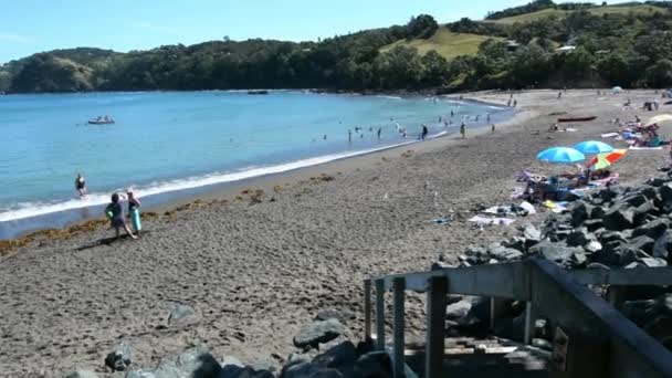 Matheson Bay Leigh Yeni Zelanda manzara — Stok video