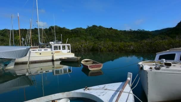 Sail boats mooring in Leigh New Zealand — Stock Video