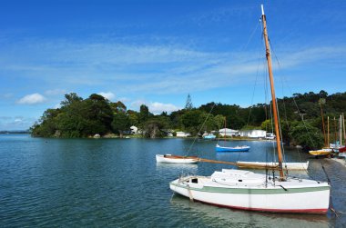 Eski ahşap yatlar - Yeni Zelanda