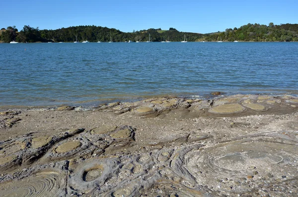 Paisagem da praia Sandspit Nova Zelândia — Fotografia de Stock