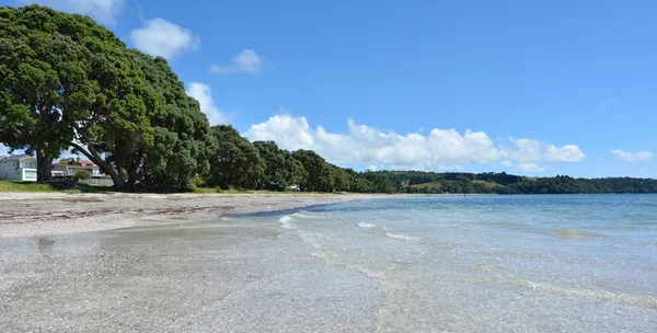 Krajina z sestrojena pláže poblíž Warkworth, Nový Zéland — Stock fotografie