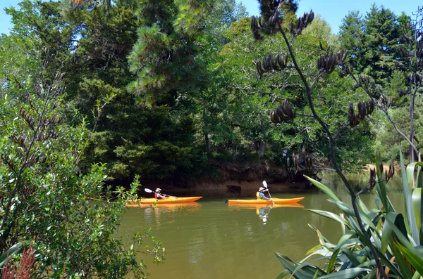 Pareja de kayak sobre el río Matakana Nueva Zelanda — Foto de Stock