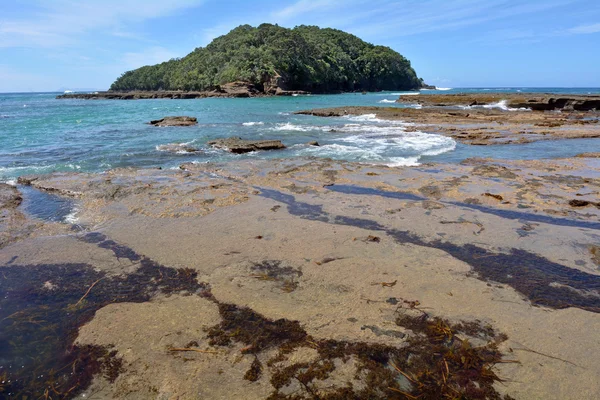 Paisagem da Ilha da Cabra praia Nova Zelândia — Fotografia de Stock