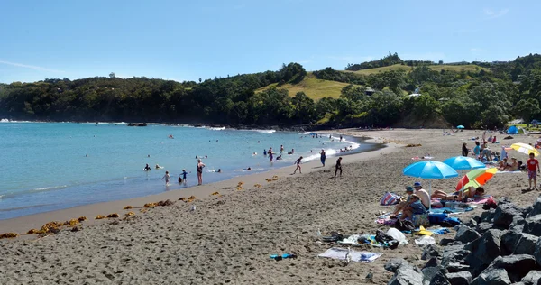 Matheson Bay Nuova Zelanda — Foto Stock