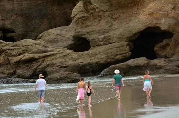 Tawharanui Regionaal Park - Nieuw-Zeeland — Stockfoto