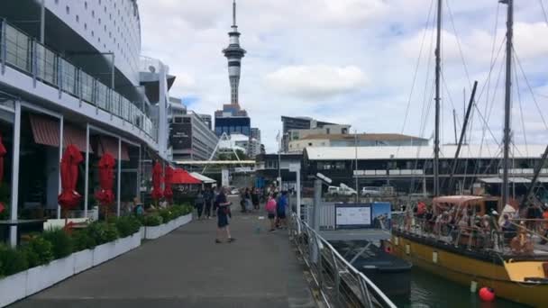 Maori waka heritage sailing in Auckland New Zealand — Stock Video