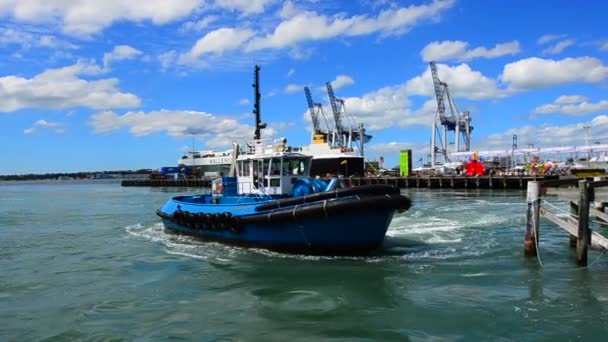 Tugboat trabaja en Puertos de Auckland Nueva Zelanda — Vídeo de stock