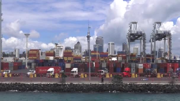 Λιμάνι του Auckland της Νέας Ζηλανδίας — Αρχείο Βίντεο