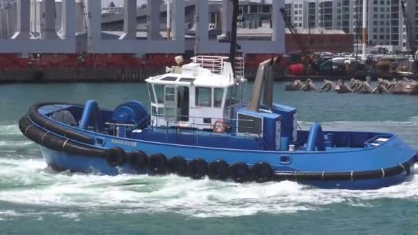 Tugboat trabaja en Puertos de Auckland Nueva Zelanda — Vídeo de stock
