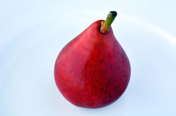One Red pear - Anjou — Stock Photo, Image
