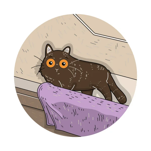 Drôle Chat Dessin Animé Jette Coup Oeil Derrière Mur Salle — Image vectorielle