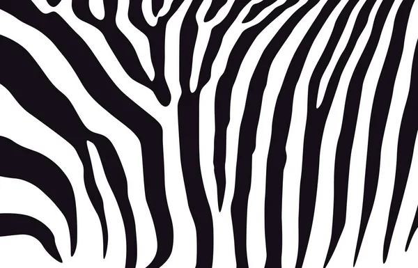 Padrão Branco Preto Zebra Listras Pretas Fundo Branco —  Vetores de Stock