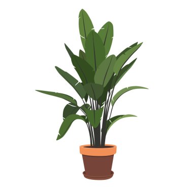 Beyaz bir arka planda izole edilmiş bir çömlekteki resim çiçeği. Konfor için iç öge.