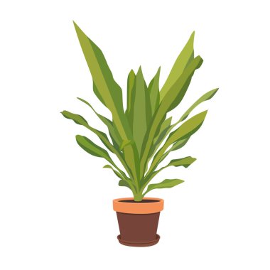 Beyaz bir arka planda izole edilmiş bir çömlekteki resim çiçeği. Konfor için iç öge.