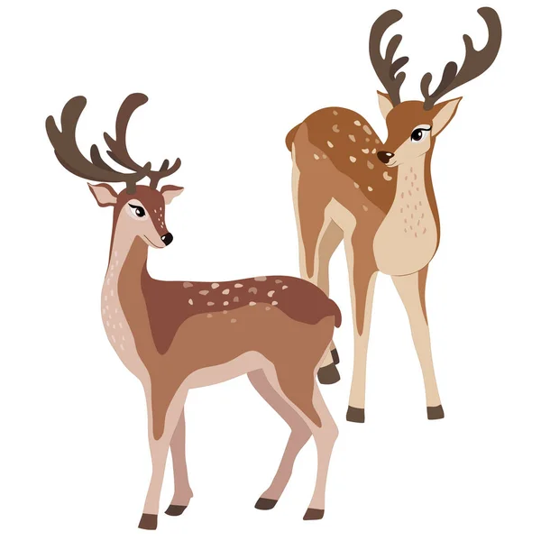 白い背景に2つの鹿のベクトル図 — ストックベクタ