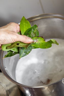 Defne yaprağı ekleme