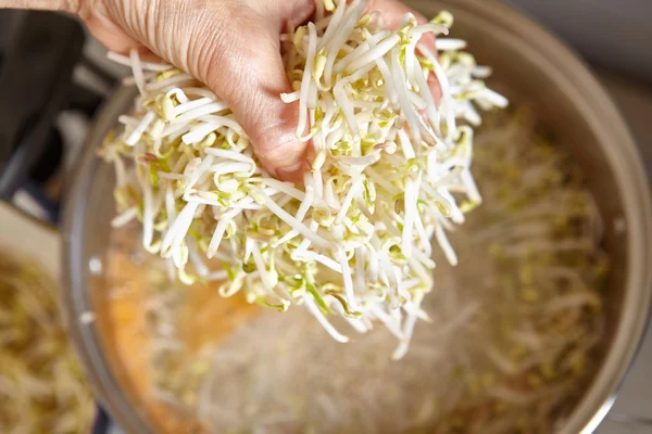 Adding bean sprout to the soup — Stock Photo, Image