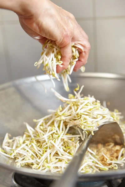 Putting bean sprout — Stockfoto