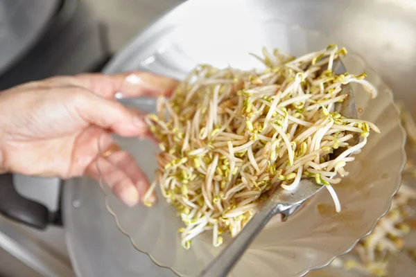 Klaar om te serveren roer gebakken bonen sprout — Stockfoto