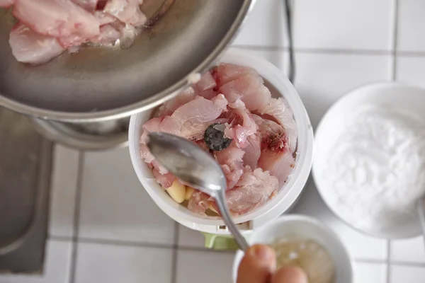 Blender fish and ingredient — Stock Photo, Image