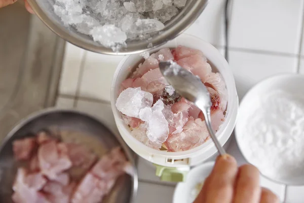 Blender fish and ingredient — Stock Photo, Image