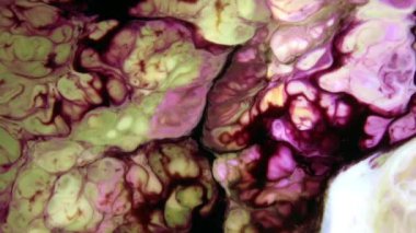 Yavaş Hareket Makro Desenli Soyut Düzen Kavramsal Renk Yüzeyi Taşıyıcı Sıvı Boya Sıçratma Sanat Tasarımı DokusuName