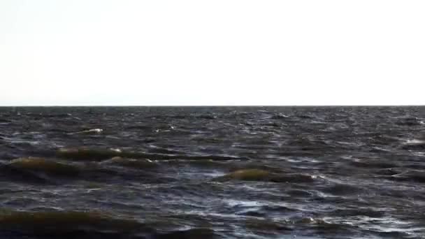 白い背景の上に暗い海の波ホライズン映像 — ストック動画
