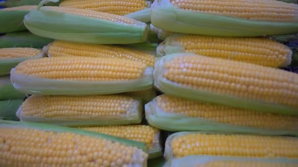 Fresh Vegetable Yellow Sweet Corn Natural Color Concept Healthy Nutrition — Stock Video