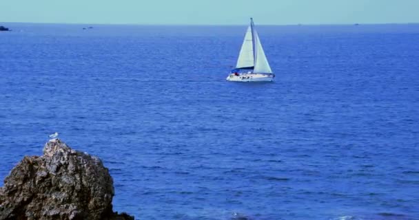Segling Yacht Rör Sig Med Utsikt Oändliga Ocean Horizon — Stockvideo