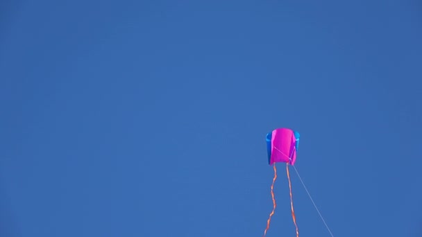 Bunte Drachenfliegerei Der Himmelsbewegung Bunte Drachen Fliegen Wolkenlosem Blauen Himmel — Stockvideo