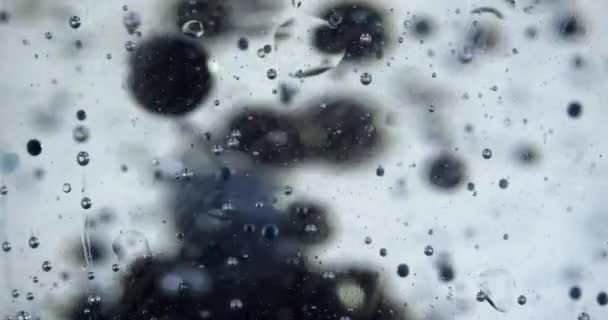 Bulles Noires Blanches Dans Les Images Eau — Video