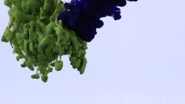 Gotas Tinta Espalham Imagens Movimento Lento Água — Vídeo de Stock