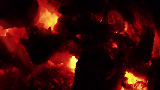 Holz Und Kohle Feuer Magma Farben Einem Holzofen Footage — Stockvideo