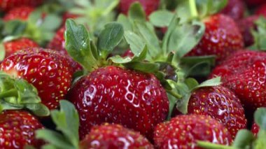 Taze Çilek Yığını Yakın Çekim ve Ayrıntılı