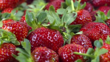 Taze Çilek Yığını Yakın Çekim ve Ayrıntılı