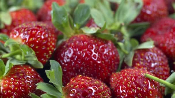 Nahaufnahme Und Detailaufnahme Haufen Frischer Erdbeeren — Stockvideo