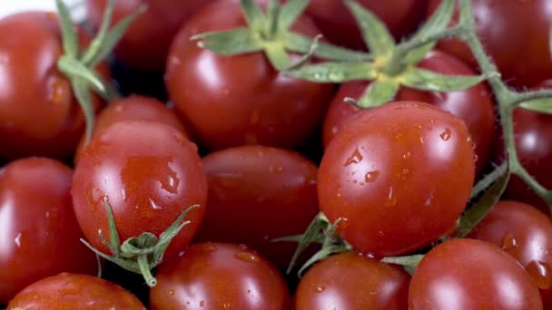 Zbliżenie Szczegółowe Ujęcie Stosu Świeżych Pomidorów — Wideo stockowe
